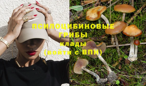 прущая мука Козловка
