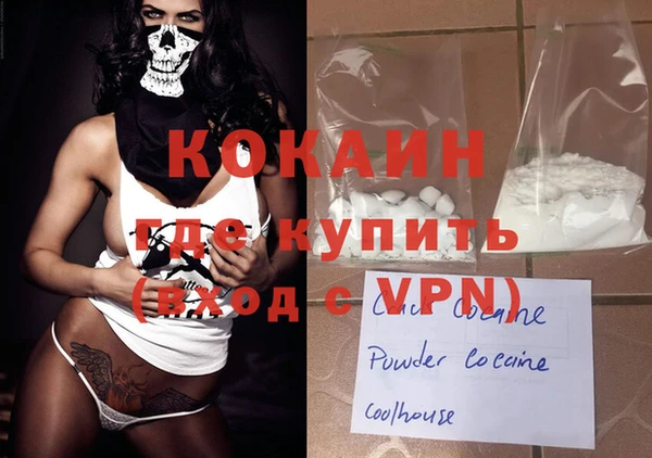 стафф Корсаков