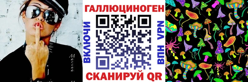 купить наркотики сайты  Рославль  Псилоцибиновые грибы GOLDEN TEACHER 